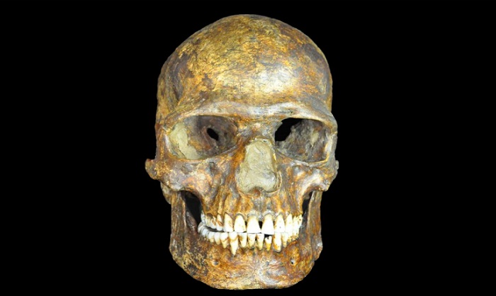 Humans and neanderthals interbred 10,000 years earlier